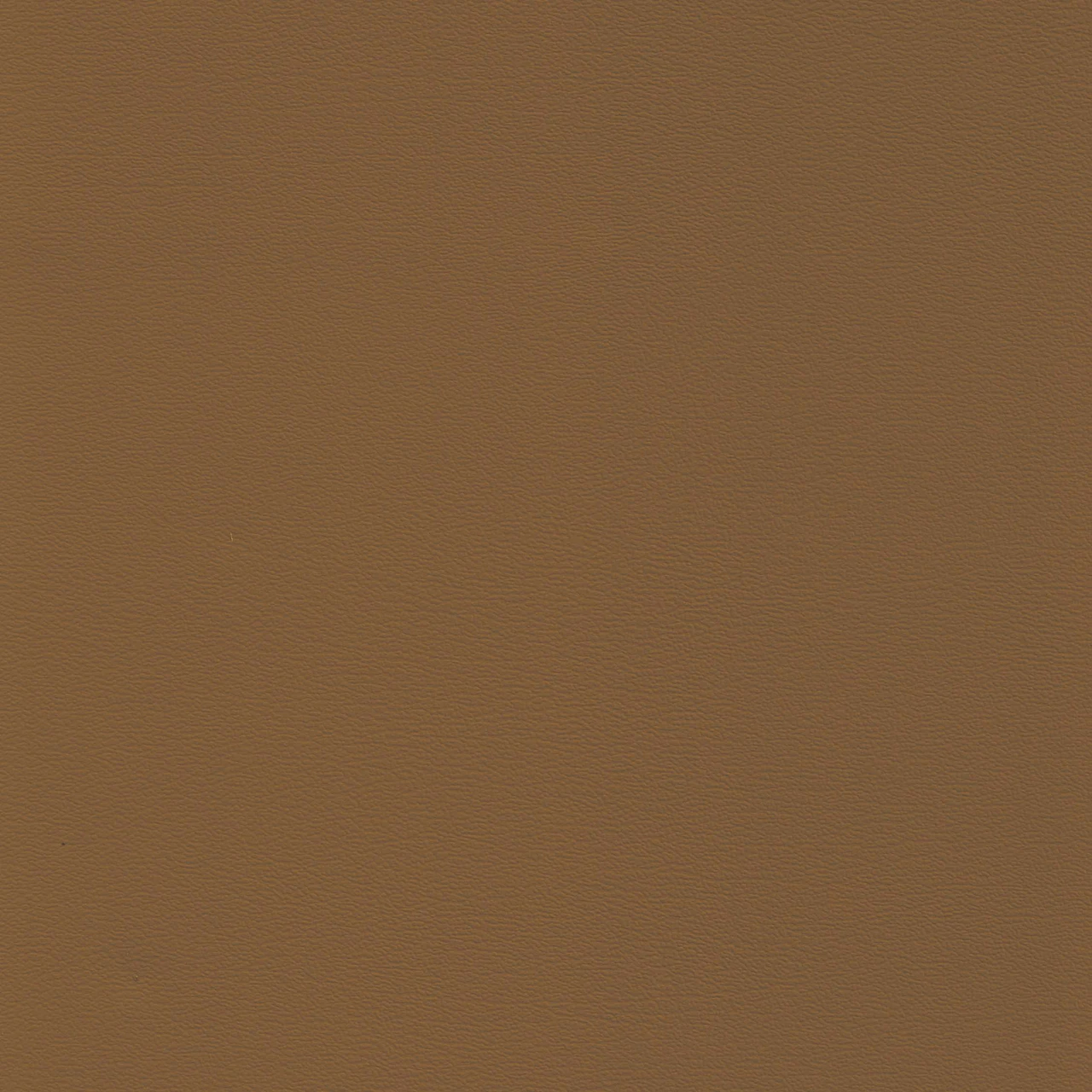 Cookie