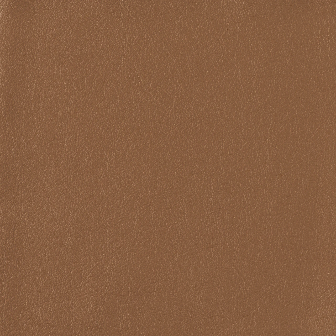 Desert