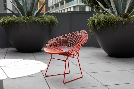 Bertoia Diamond Chair Richard Schultz Petal Coffee Table outdoor community shared spaces