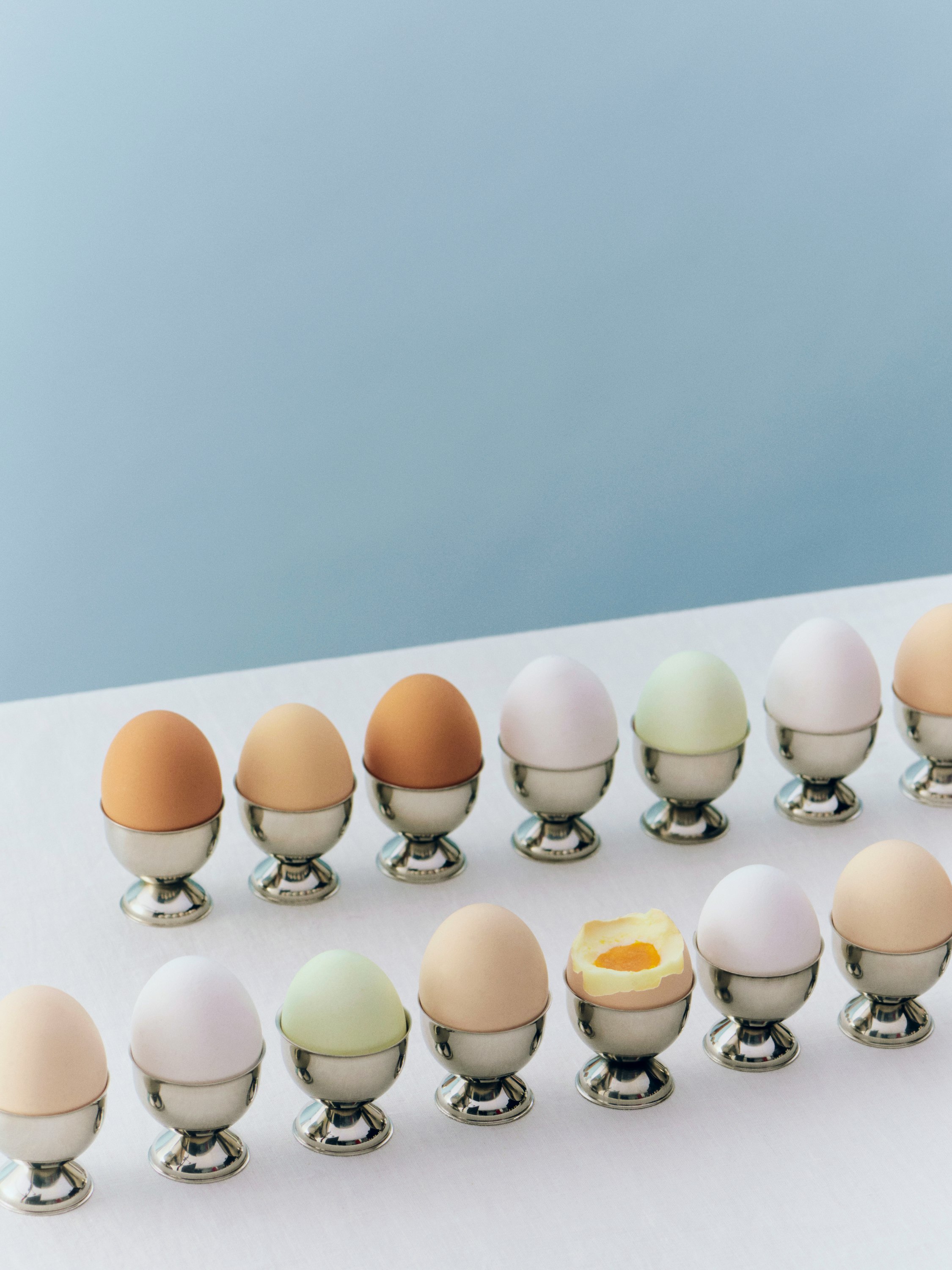 Essential Steel Egg Cup