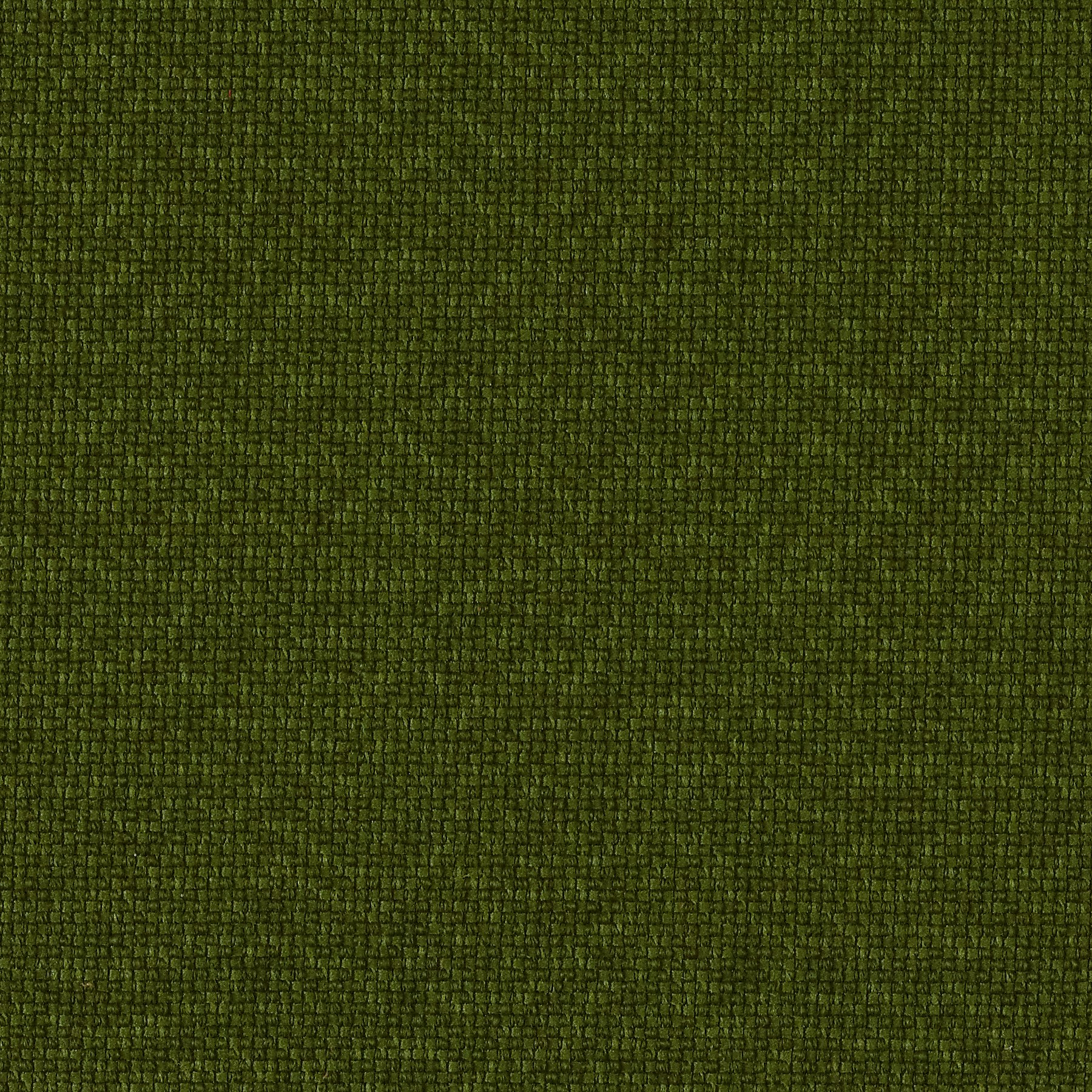 Olive Green Dark, 14A42