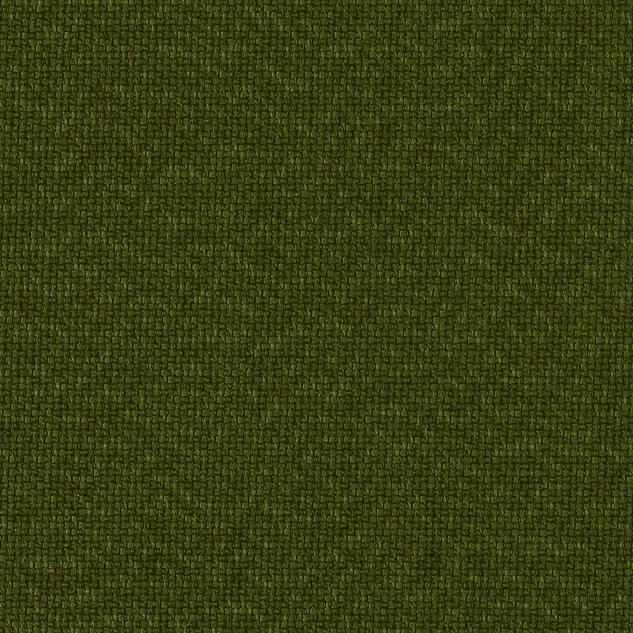 Olive Green Dark