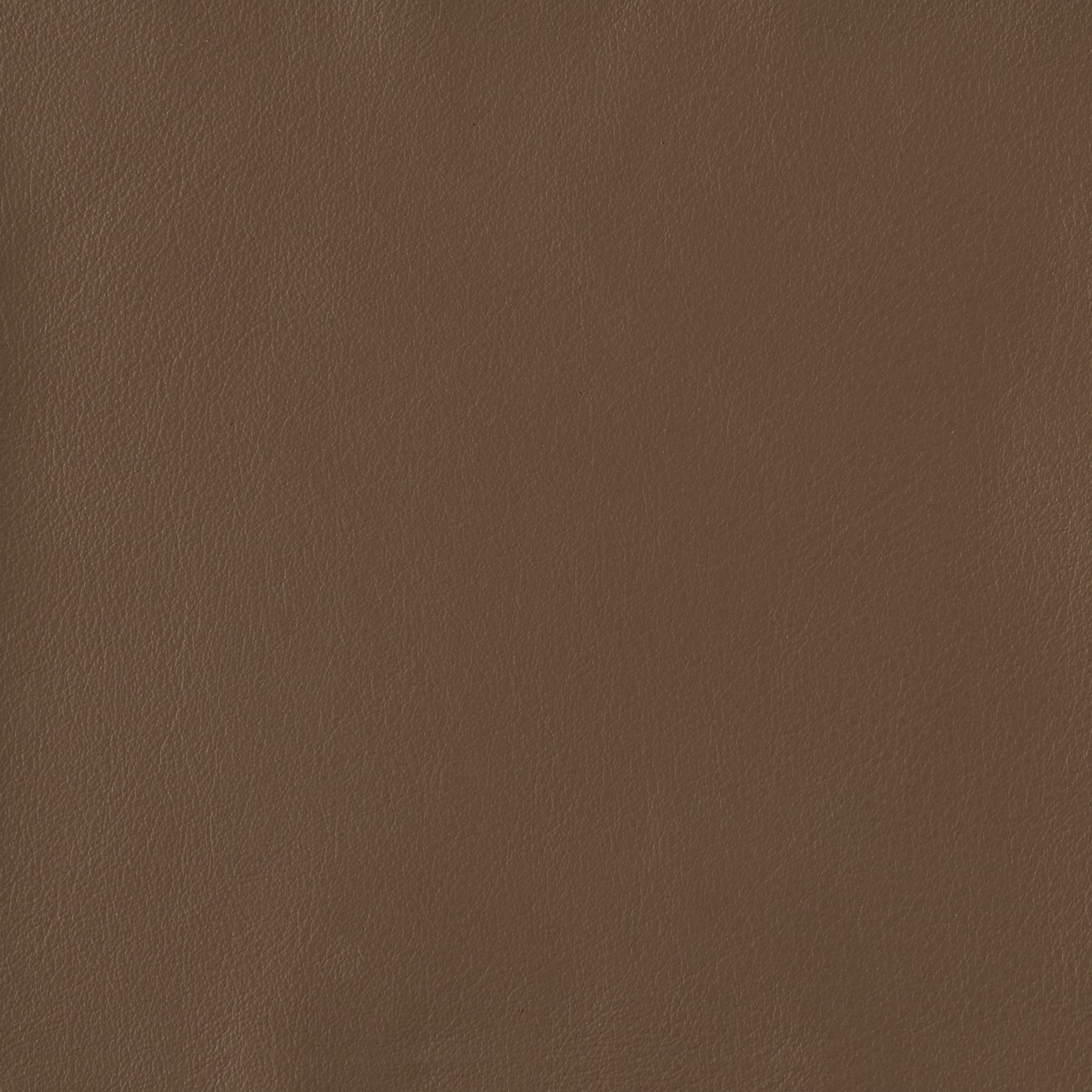 Bristol Leather Earthen