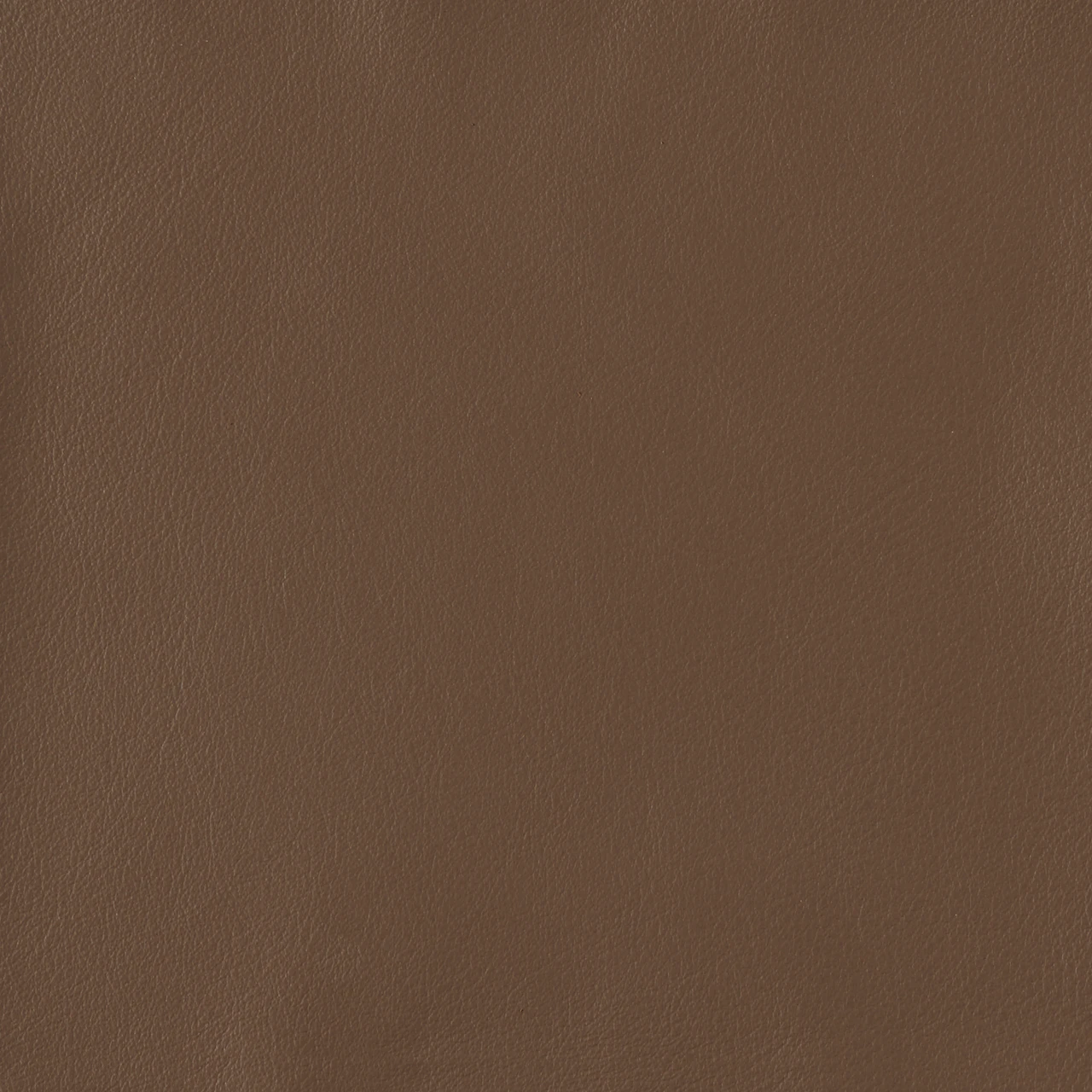 Earthen