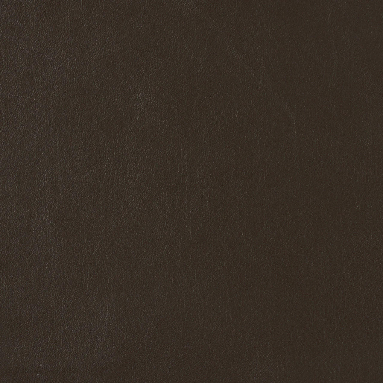 Chestnut Brown