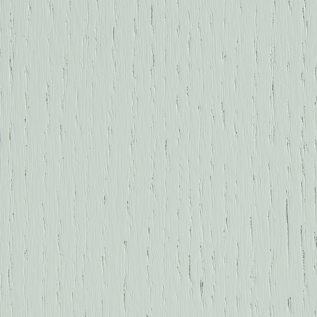 Eucalyptus Oak
