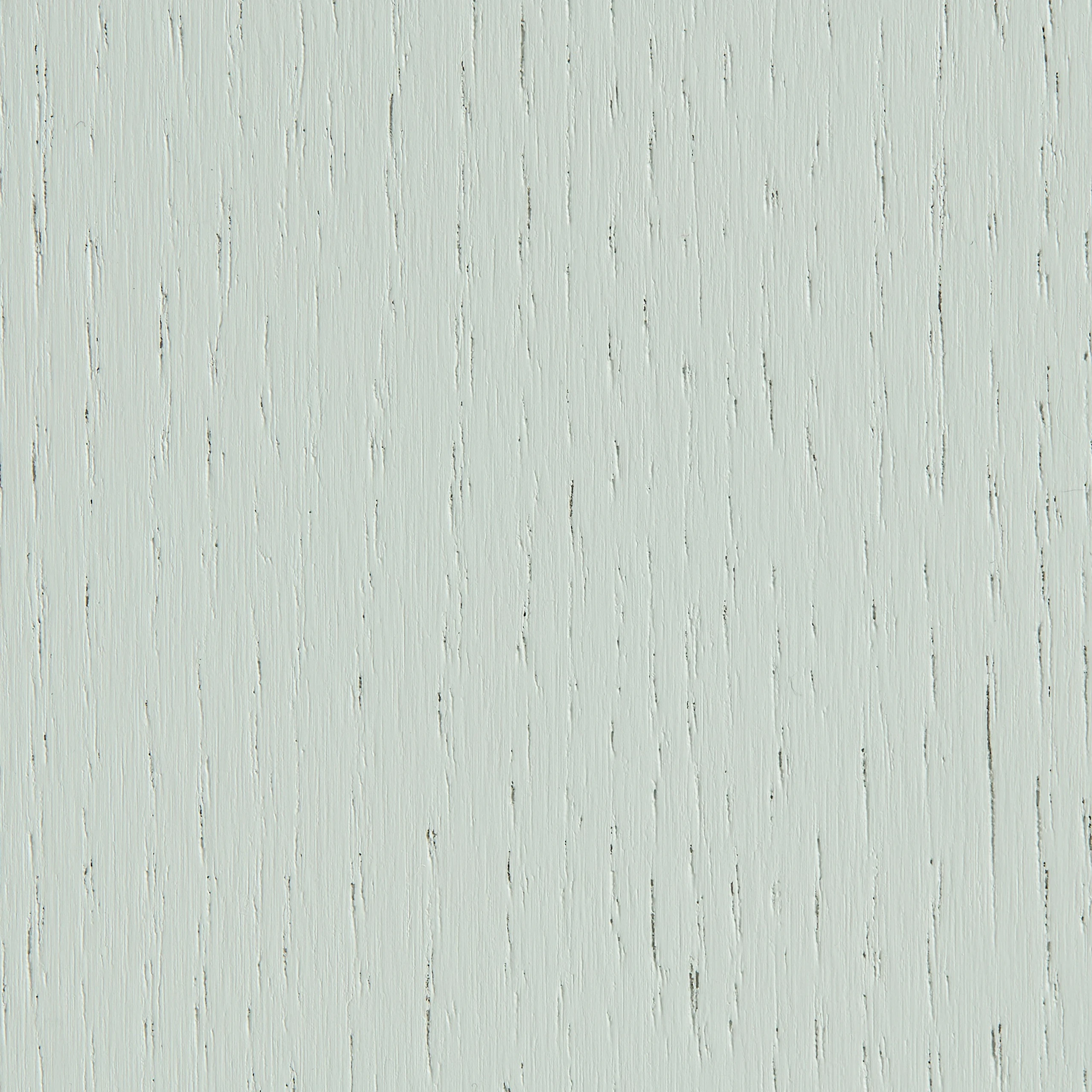 Eucalyptus Oak