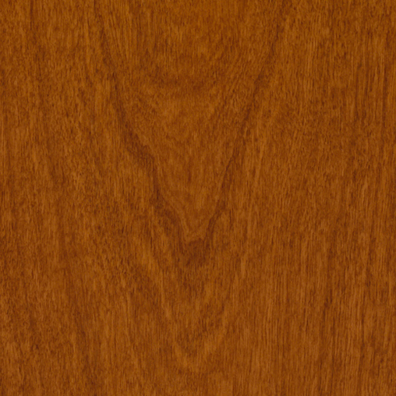 Bronze Cherry (V2)