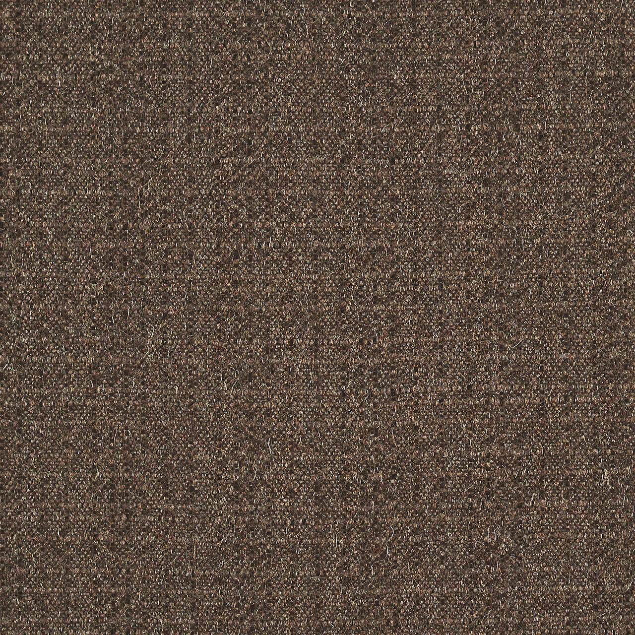 Bark