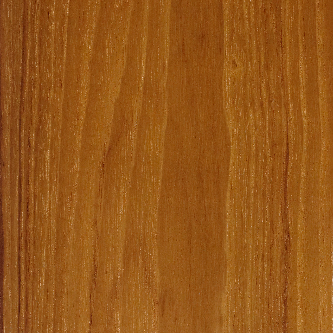 Teak