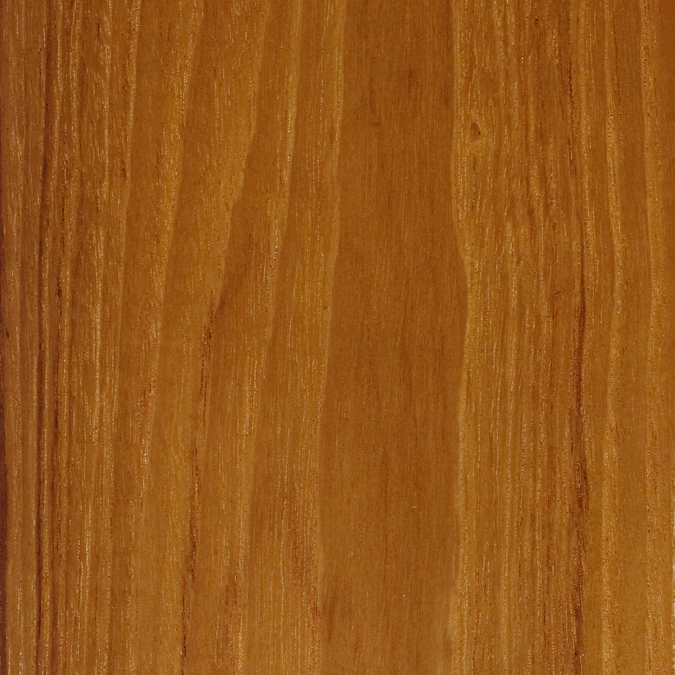 Teak
