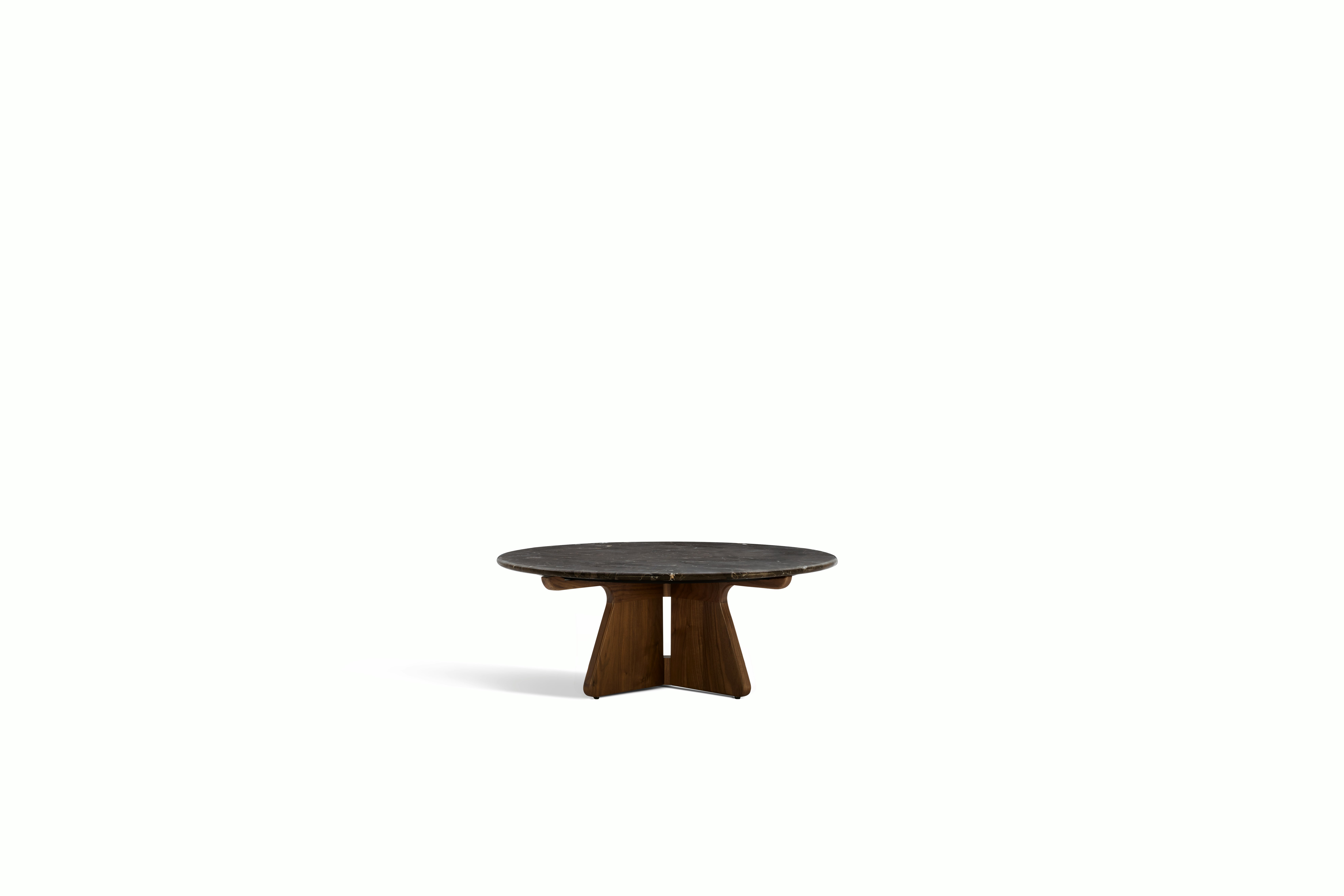 A Pinna Coffee Table in Espresso Walnut viewed from an angle.