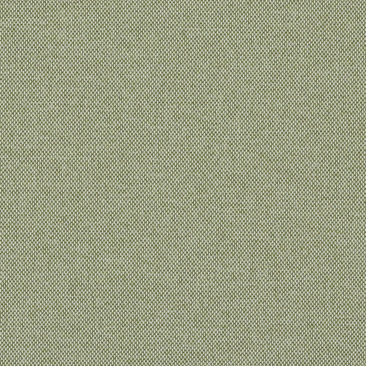 Green Apple