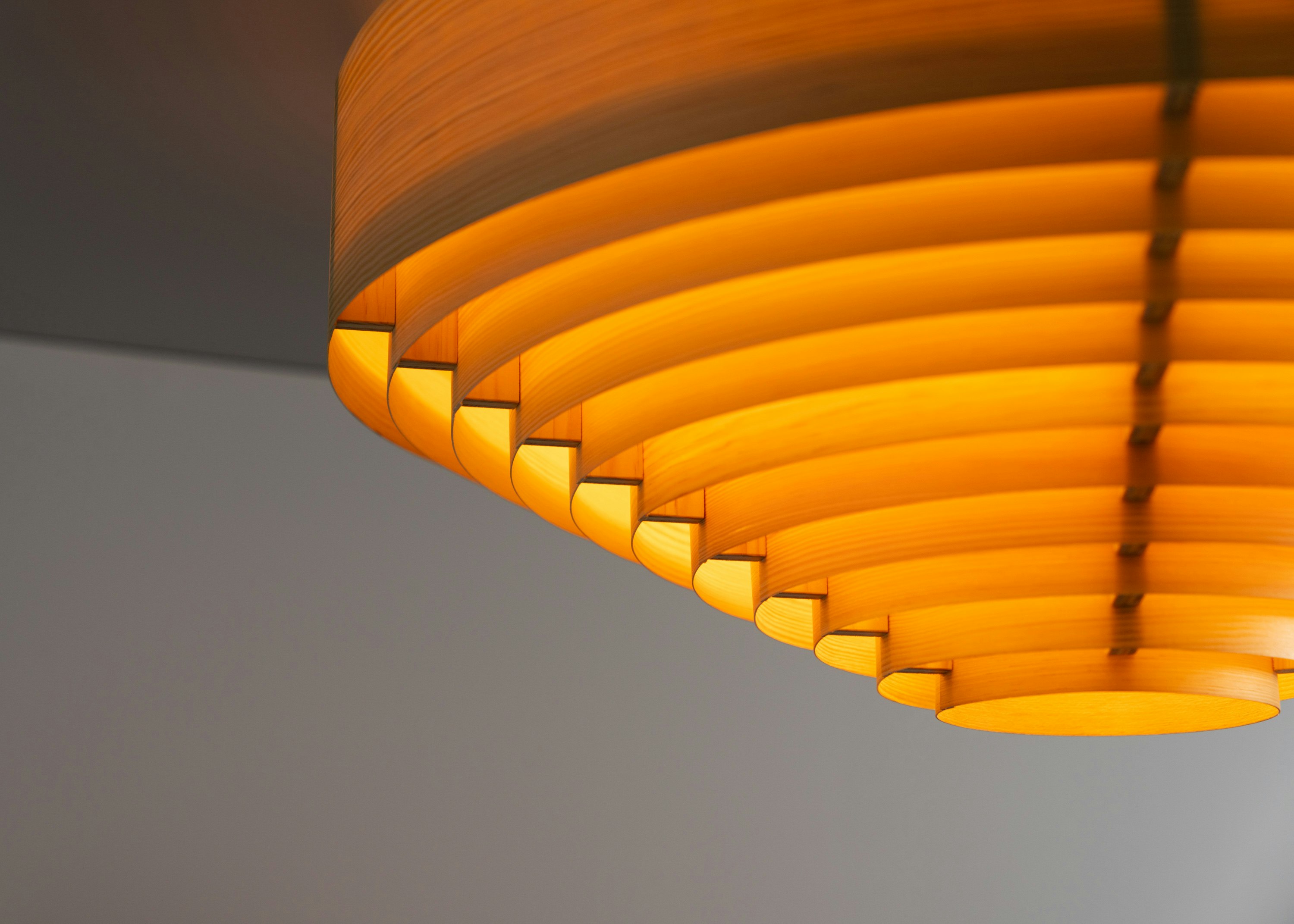 1005 Hans Ceiling Light