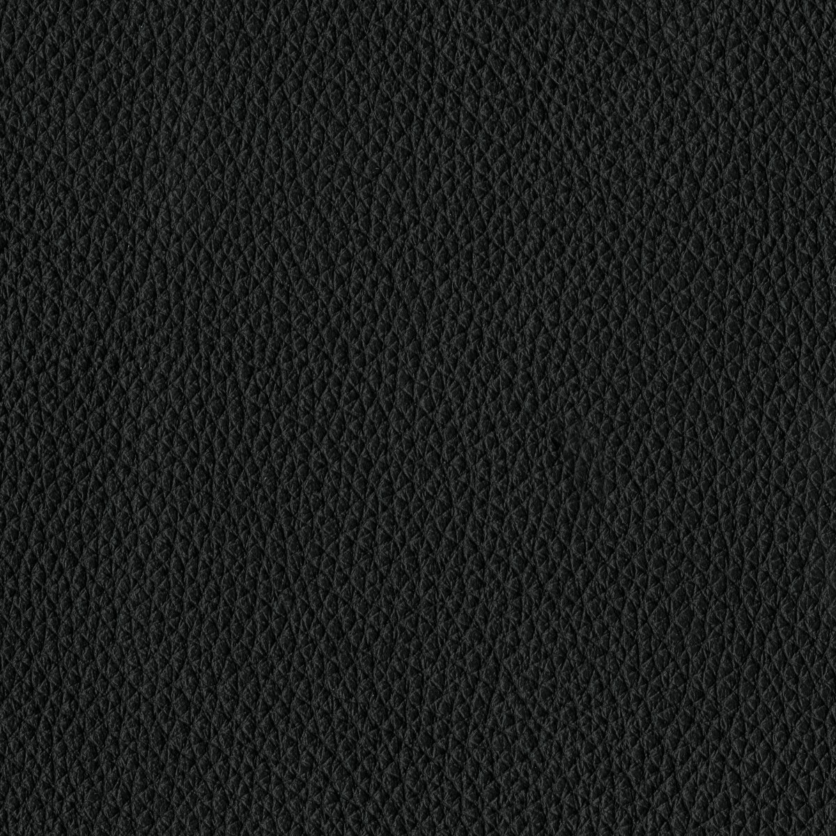Black All Grain Leather Swatch (Edelman)
