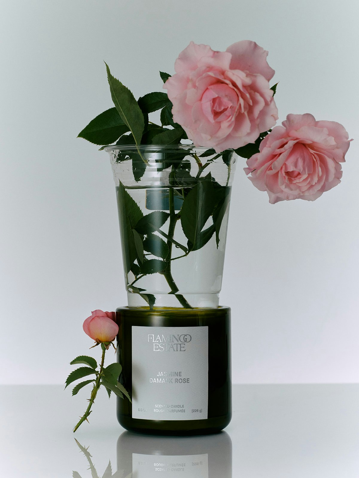 Flamingo Estate 8oz Scented Candle - Jasmine Damask Rose