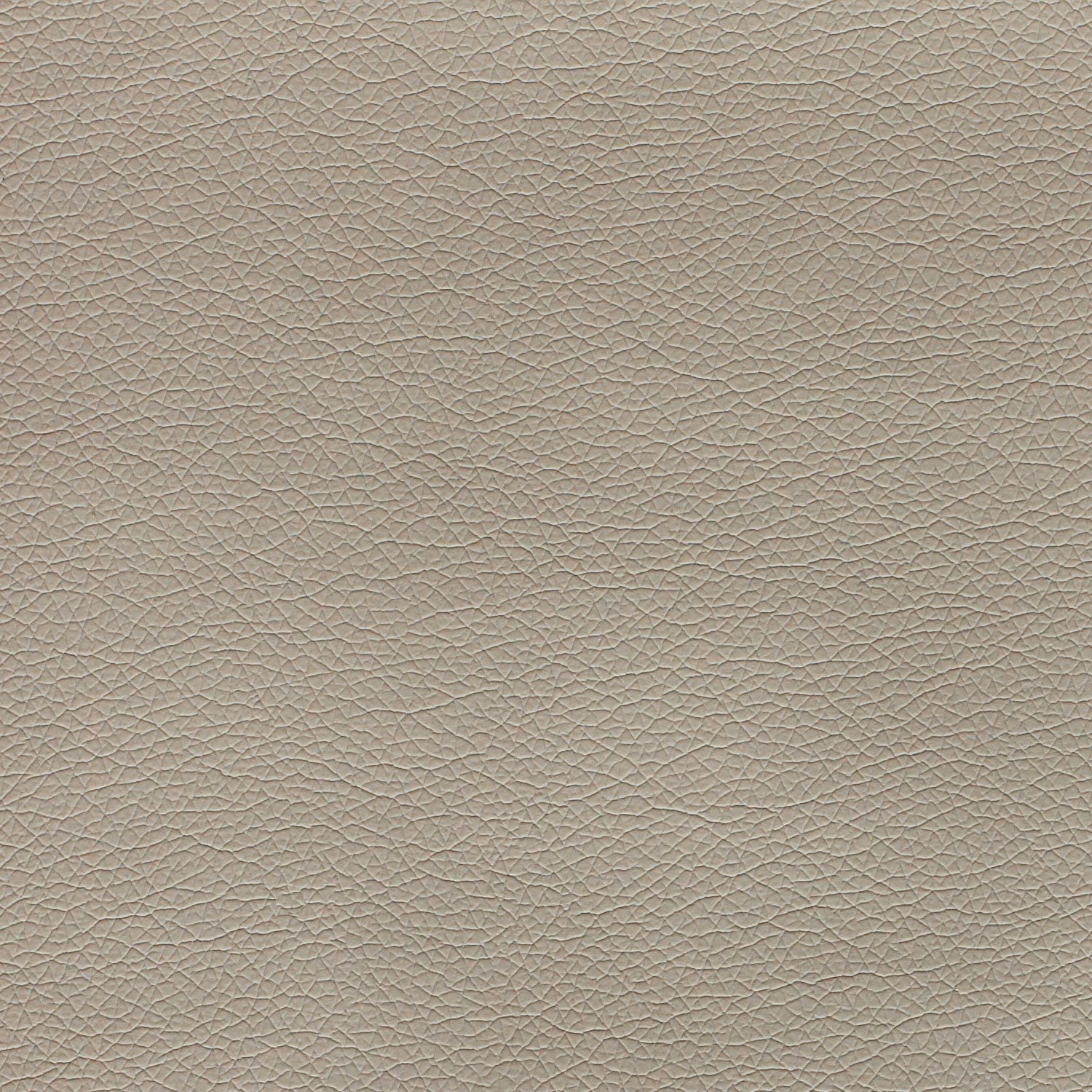 Canter Epu Blush Grey