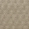 Warm Grey