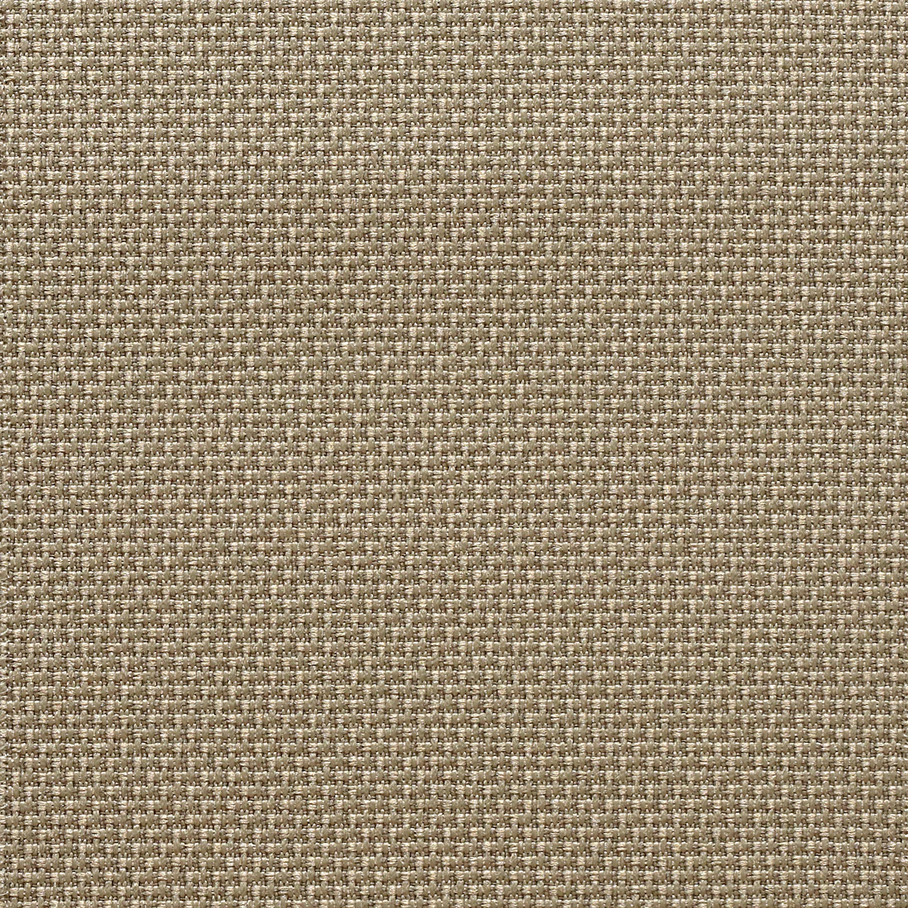 Warm Grey