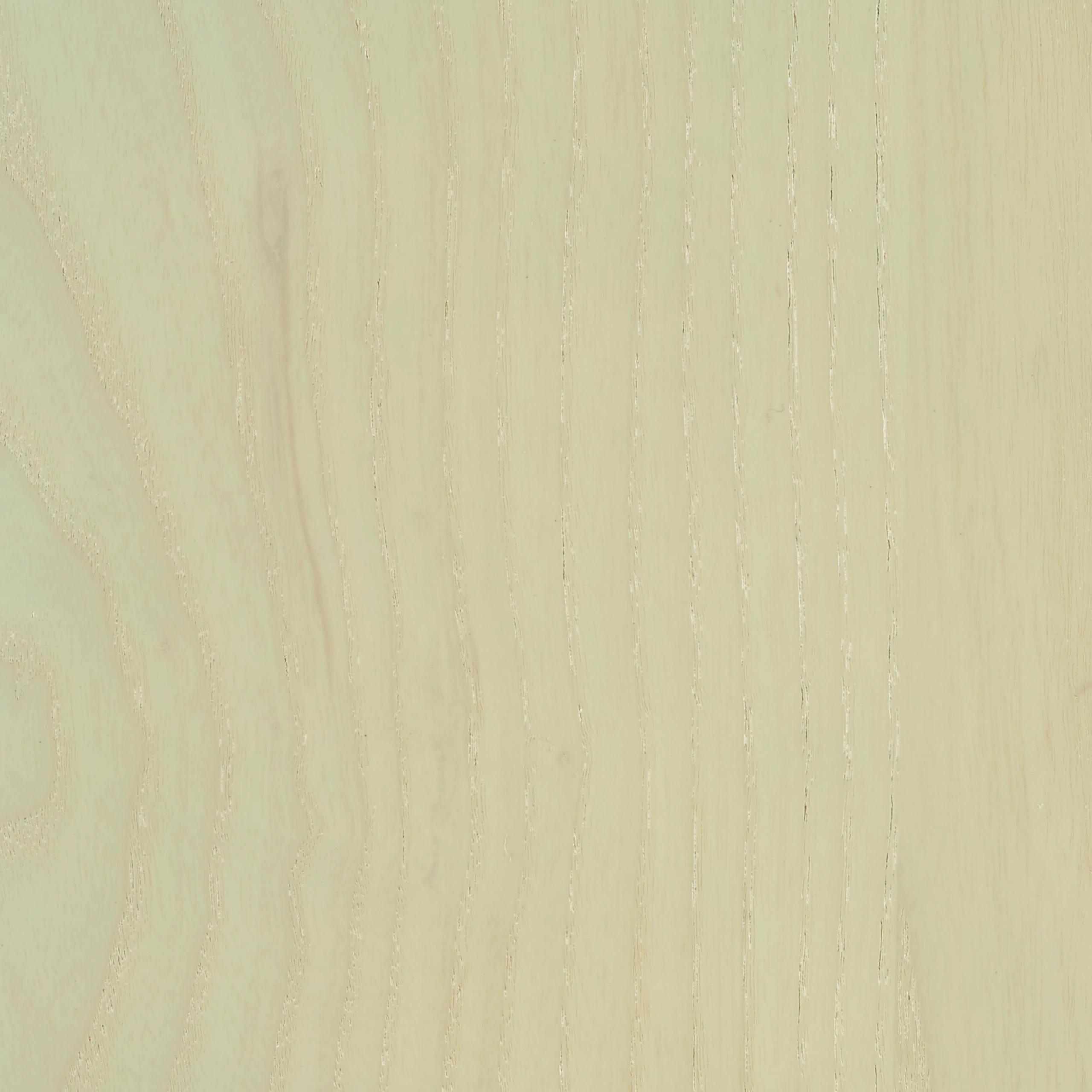 Soft Green Ash