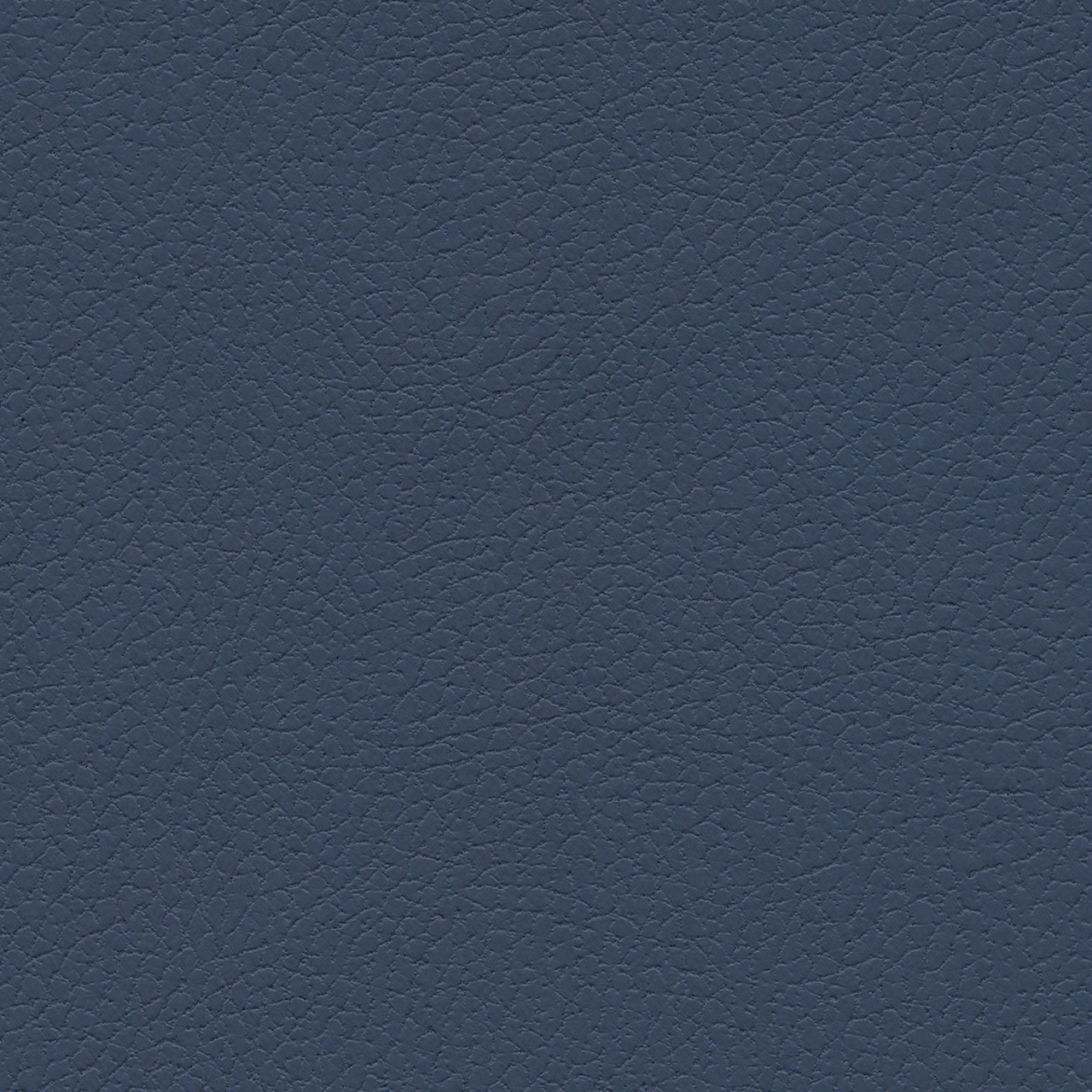 Evening Blue