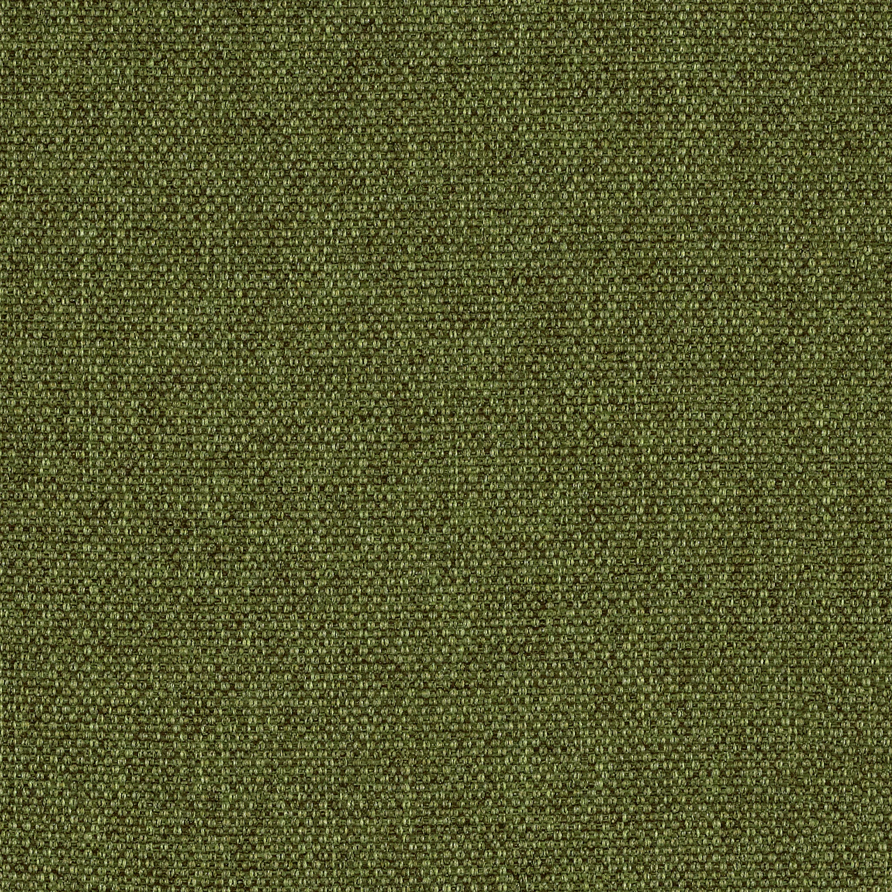 Loden