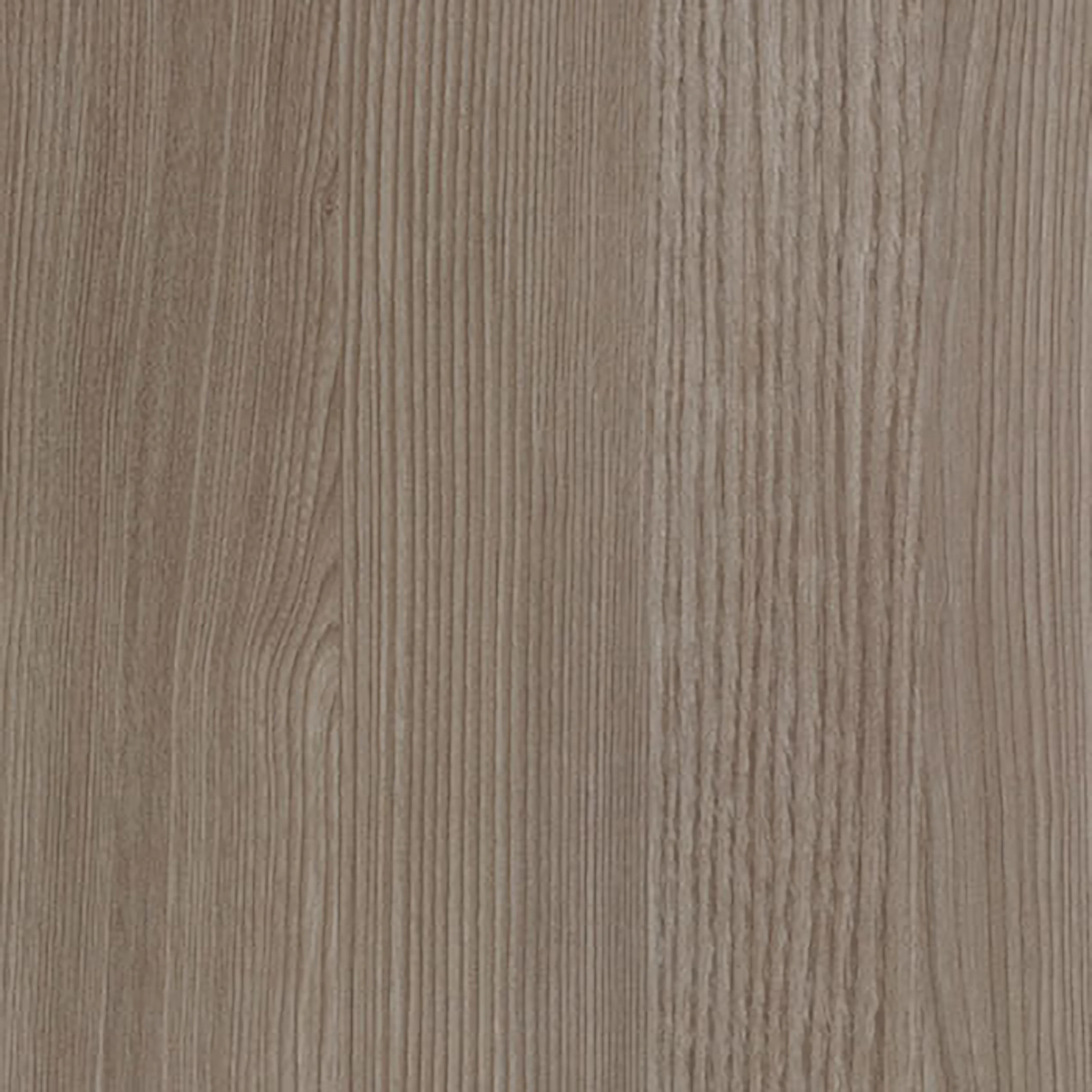 Grey Ash