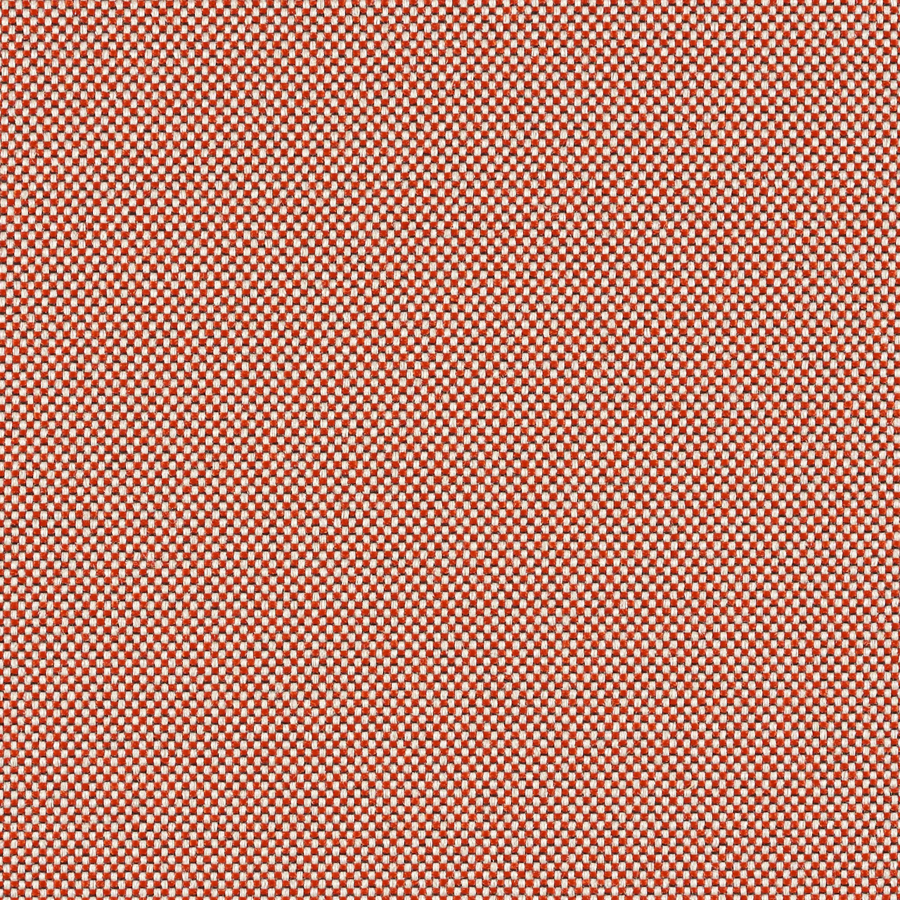 Urban Orange