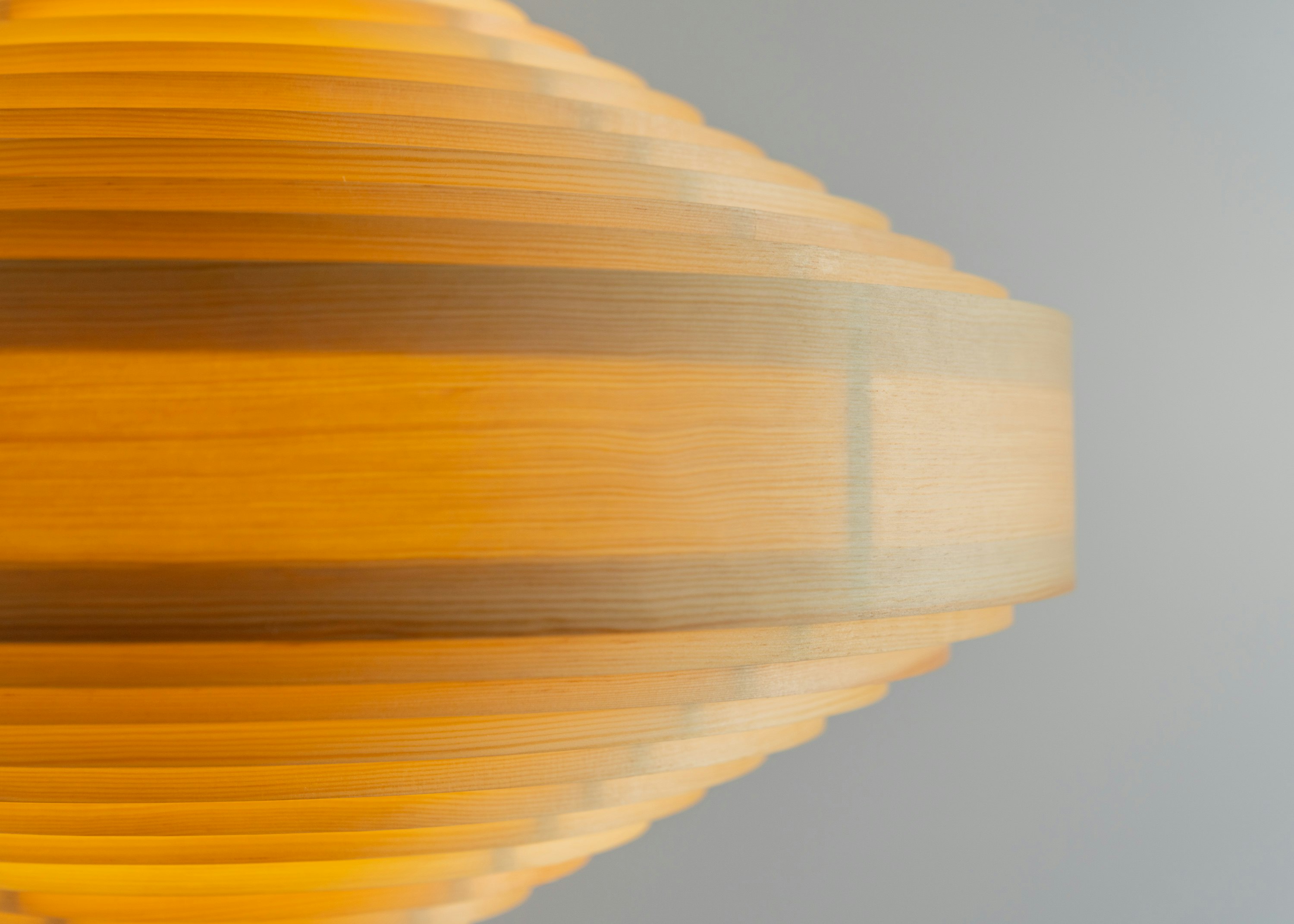 1003 Hans Pendant - 24 Inch