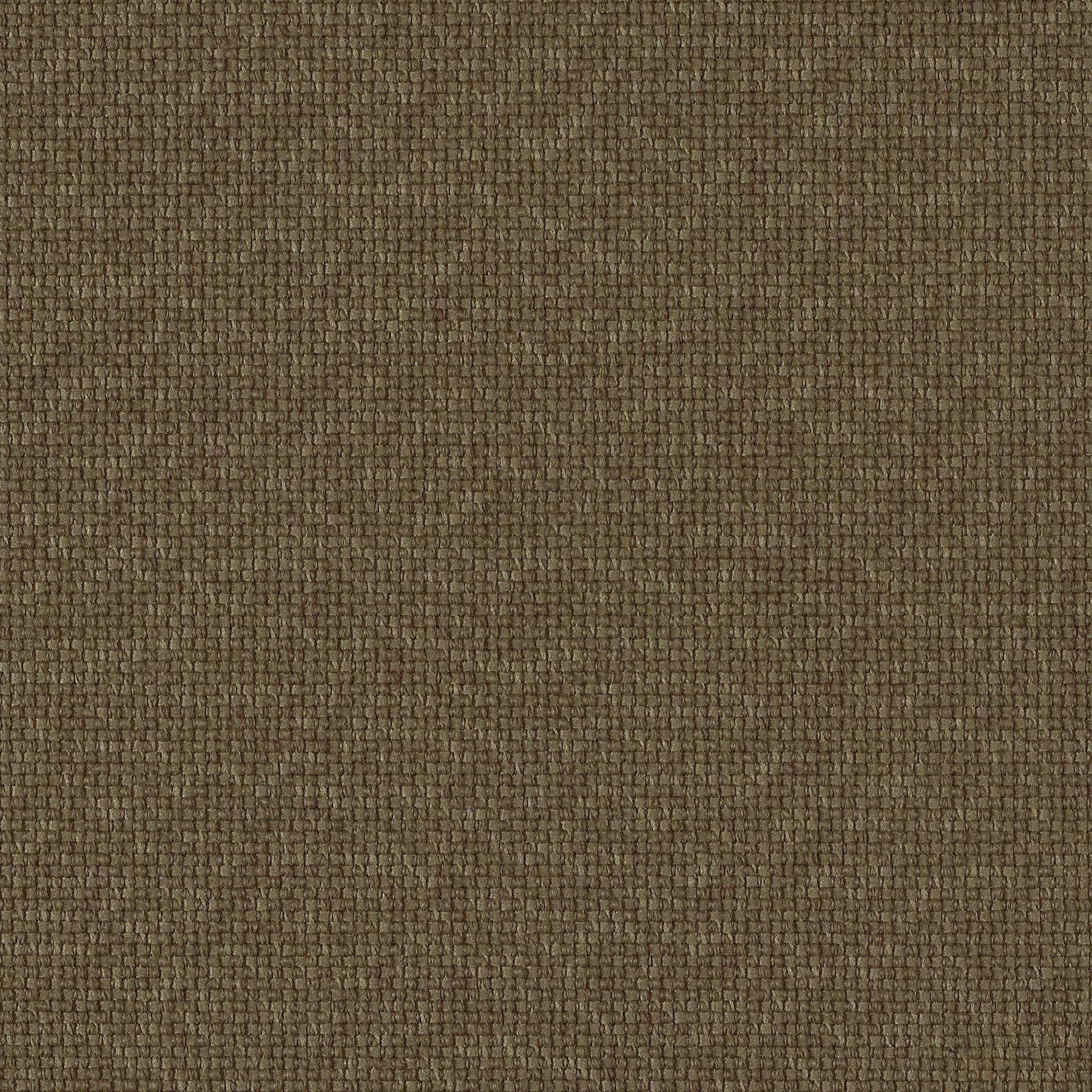 Raw Umber Dark, 14A22