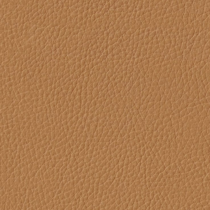 Maharam Prone Leather Shore Swatch