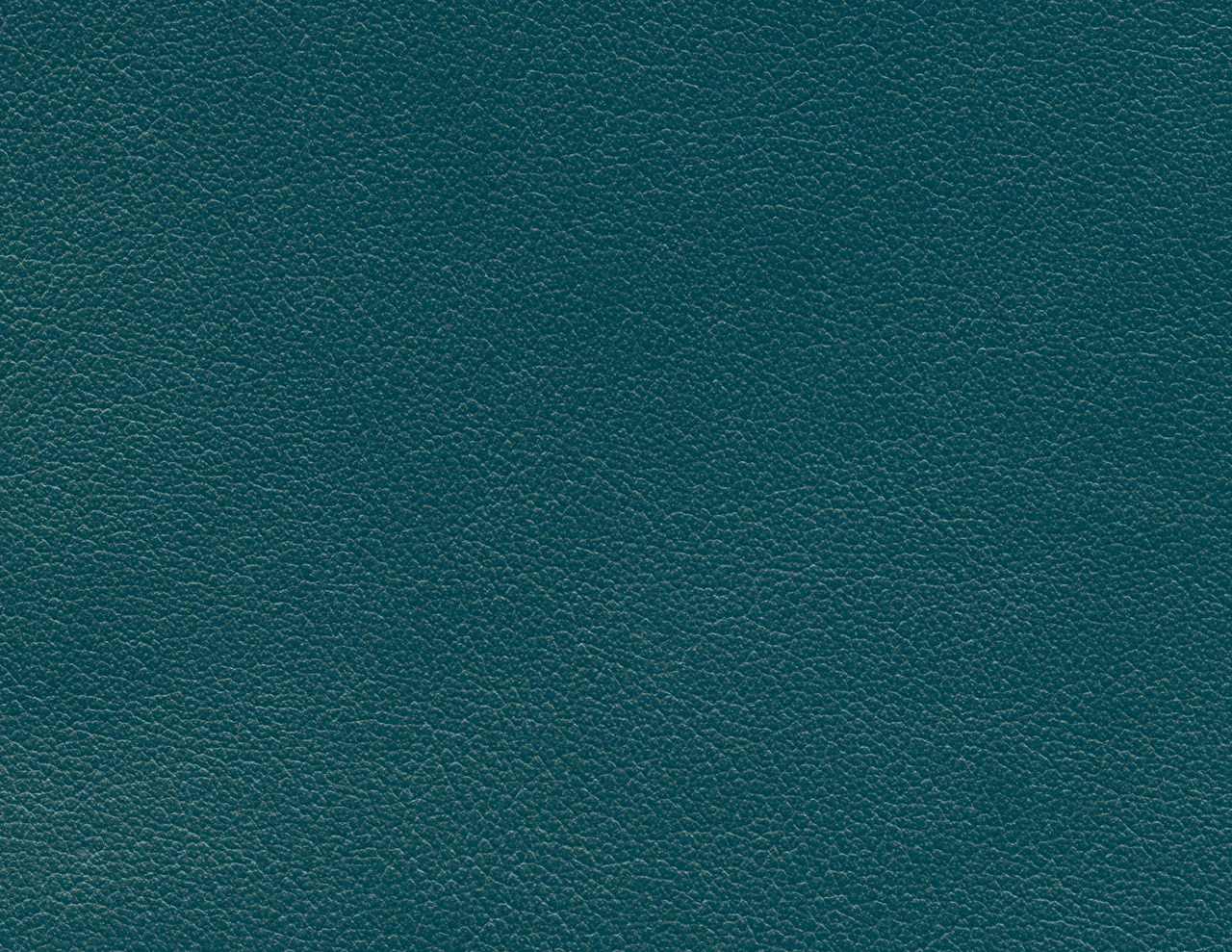 Fjord
