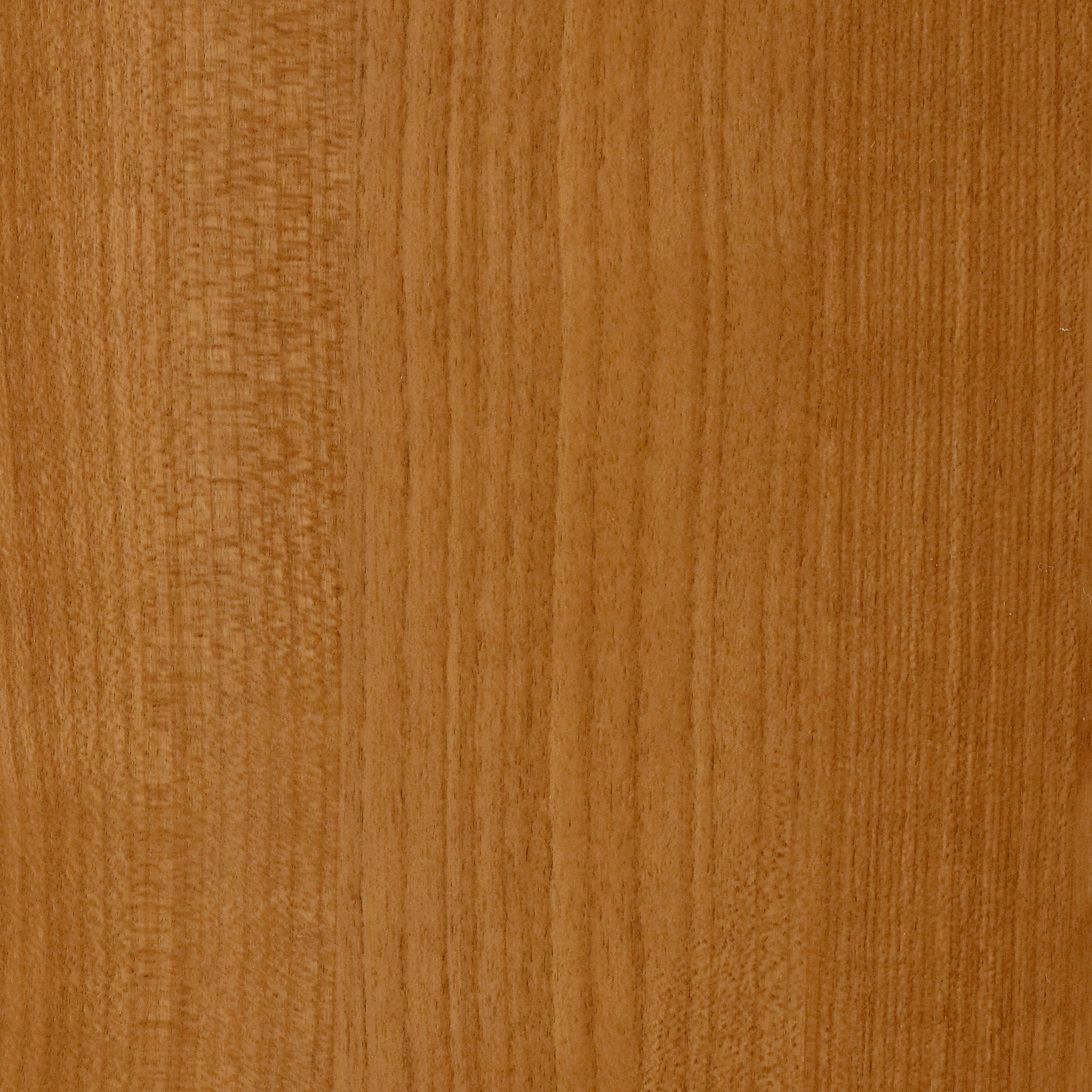 Honey Maple - Nemschoff, OG