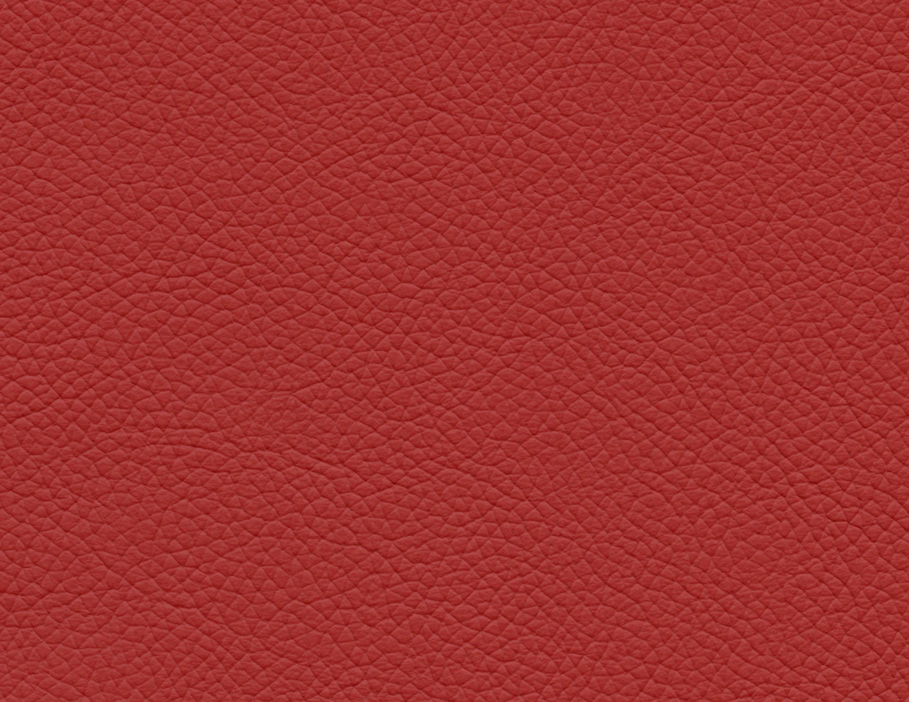 Red Sea