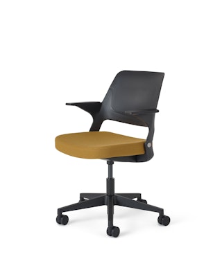 Ollo with Shell Back