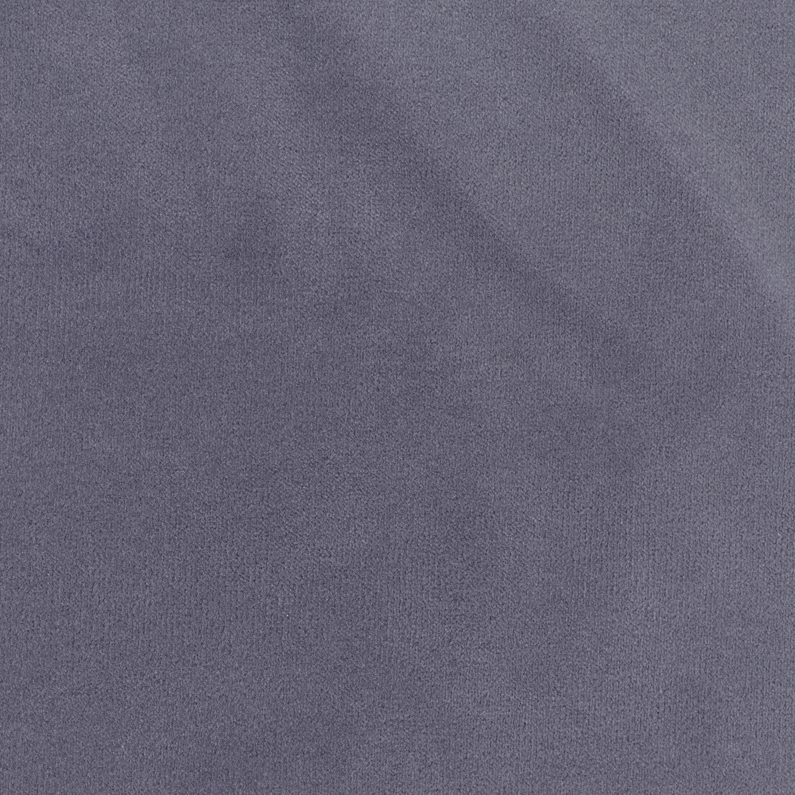 Grey Lilac