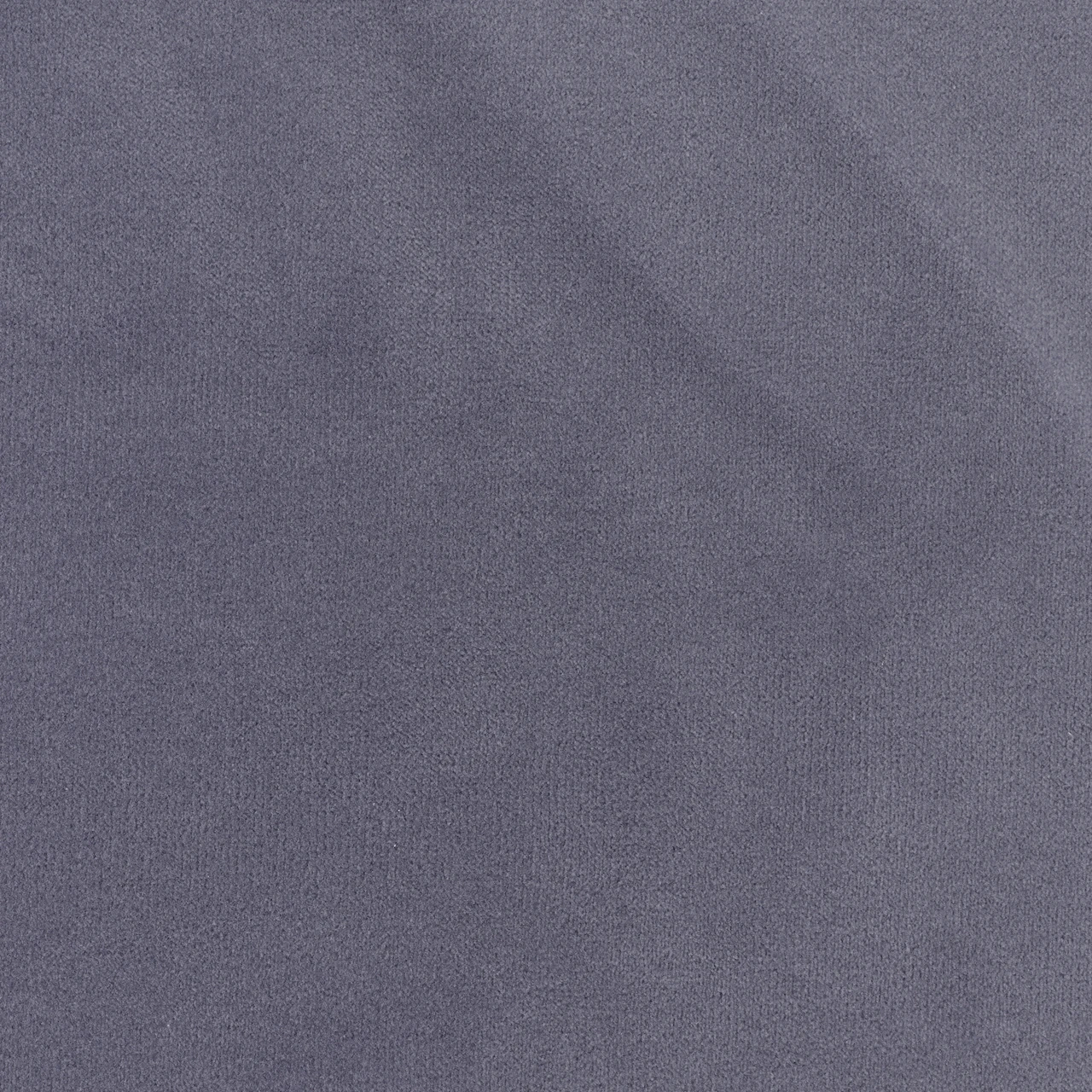Grey Lilac