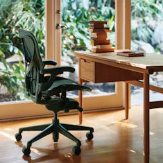 Aeron Chair in Jasper at a Raleigh Desk