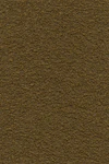 Mustard Seed