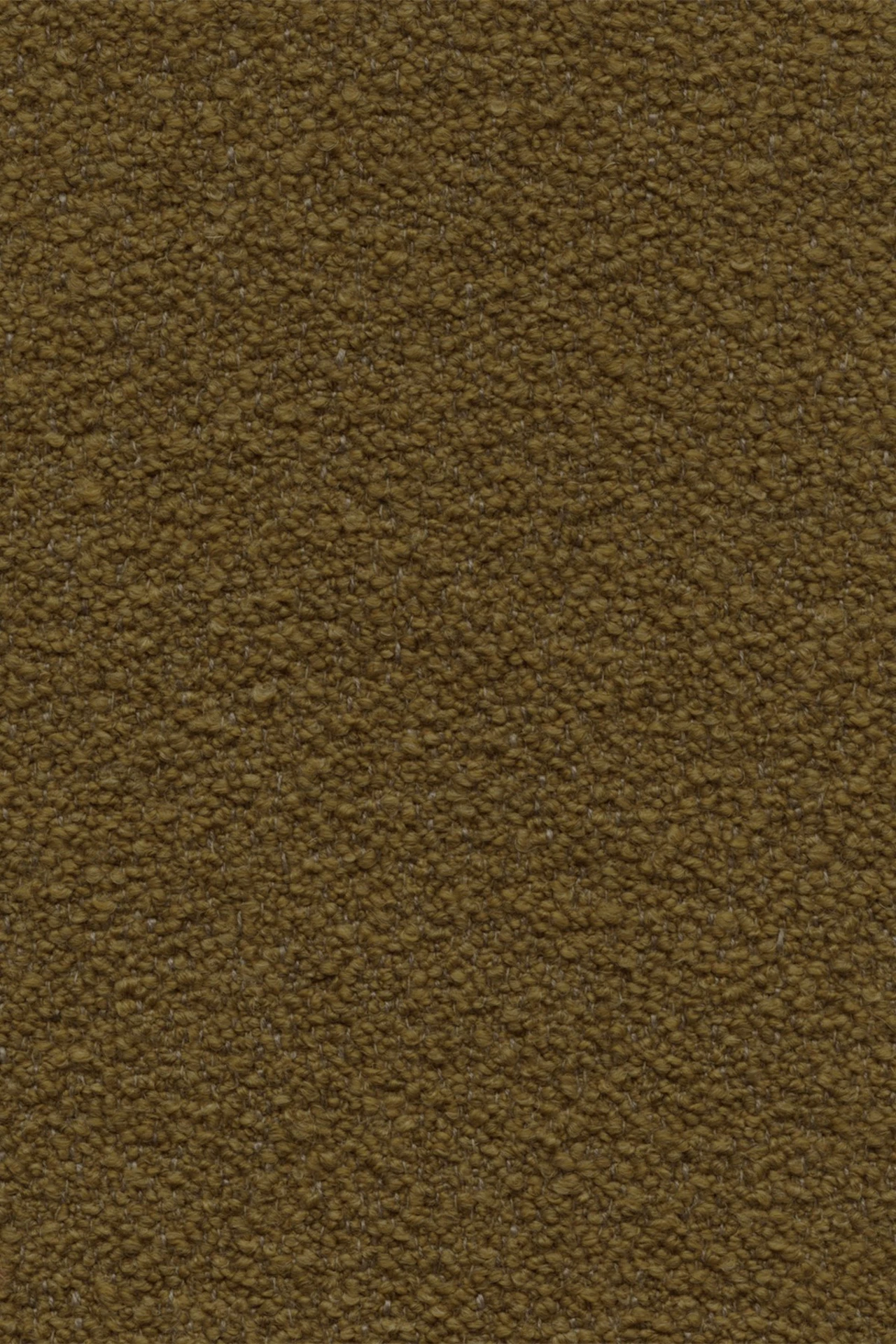 Mustard Seed