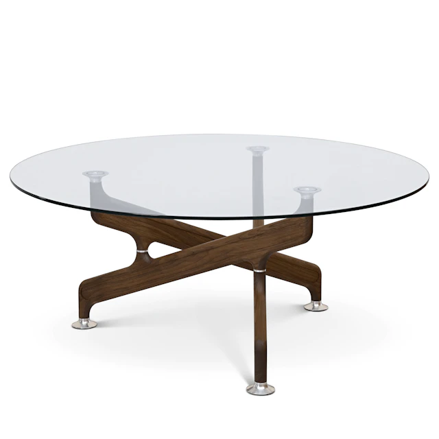 Bone Coffee Table