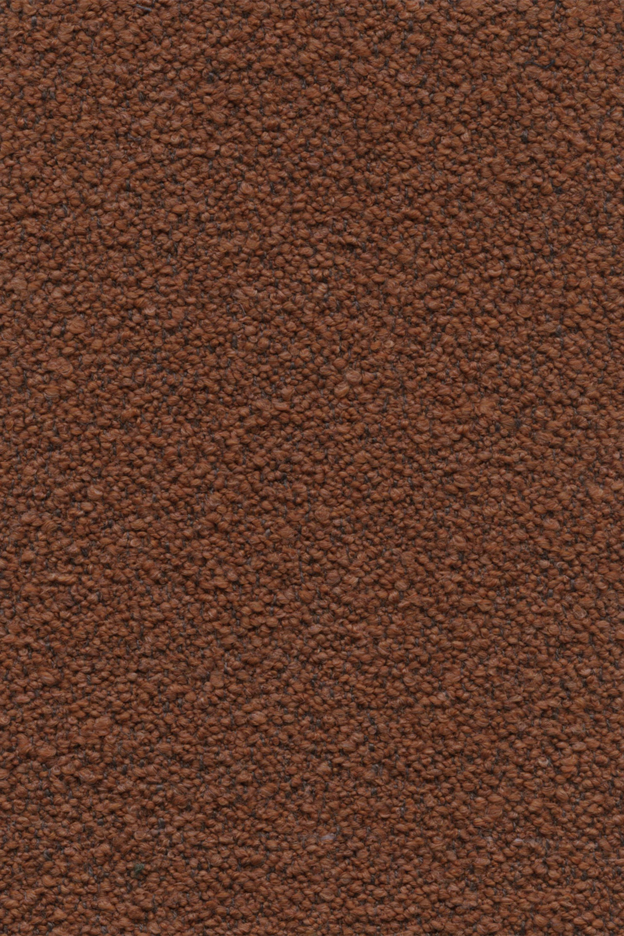 Terra Cotta