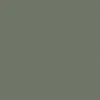 Eucalyptus