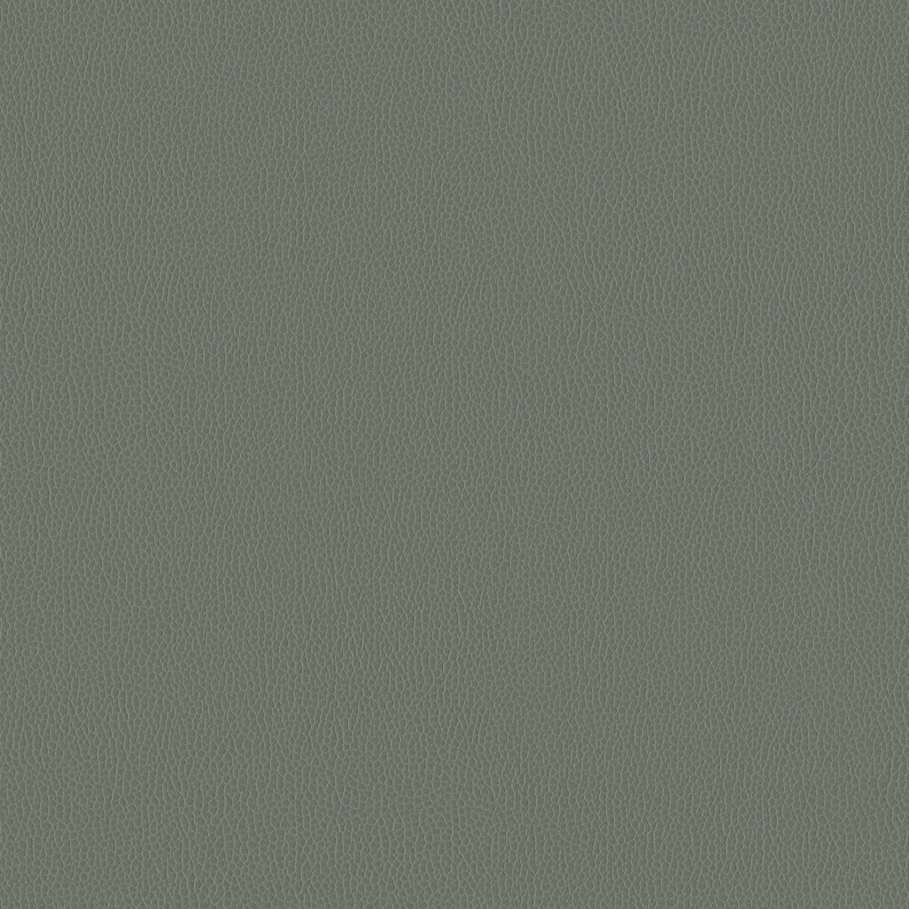 Eucalyptus