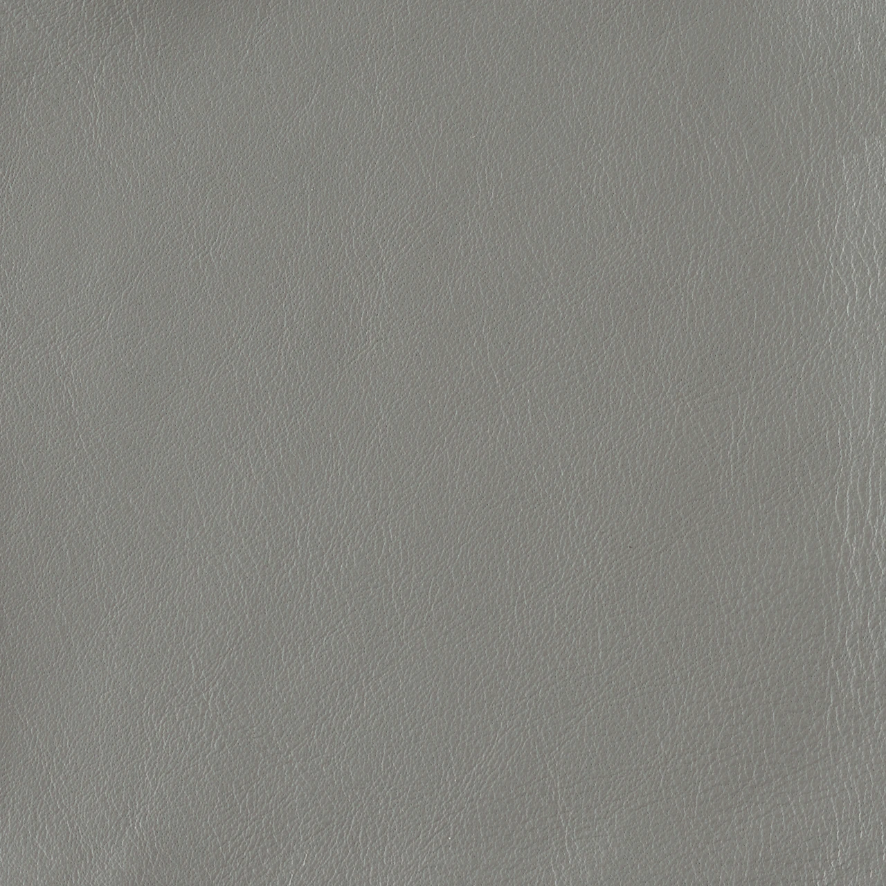 Sky Gray