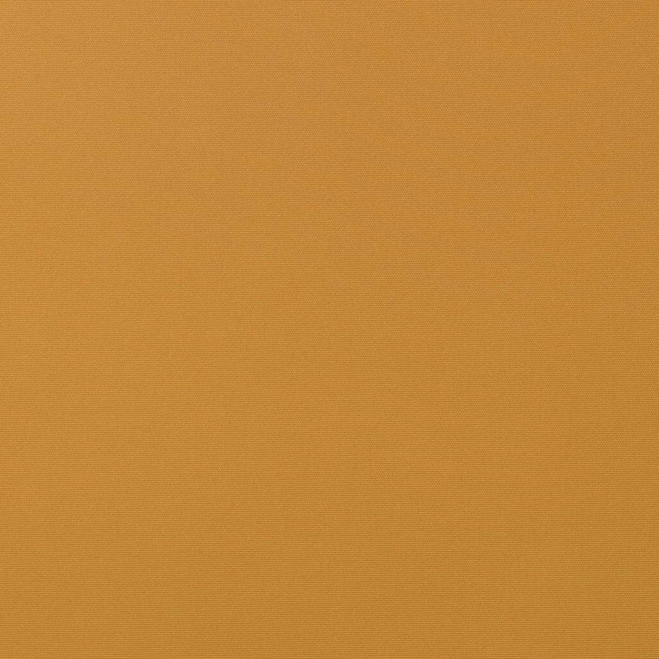 Squash