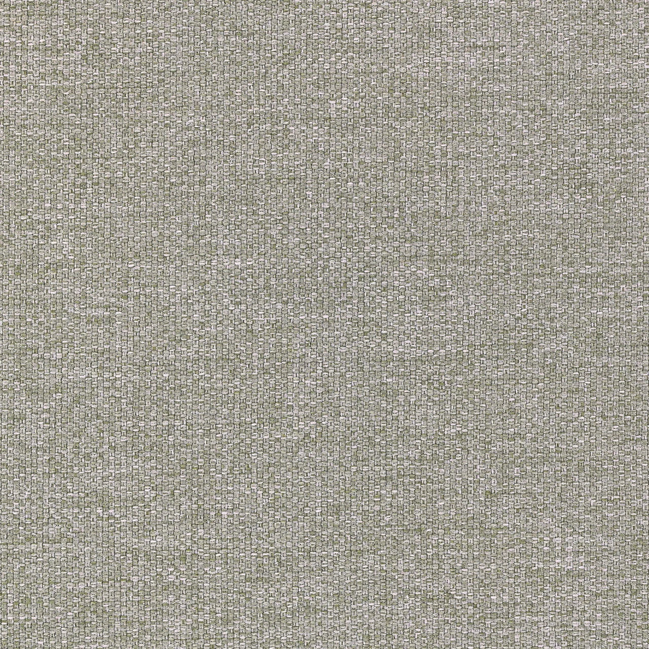 Feather Grey