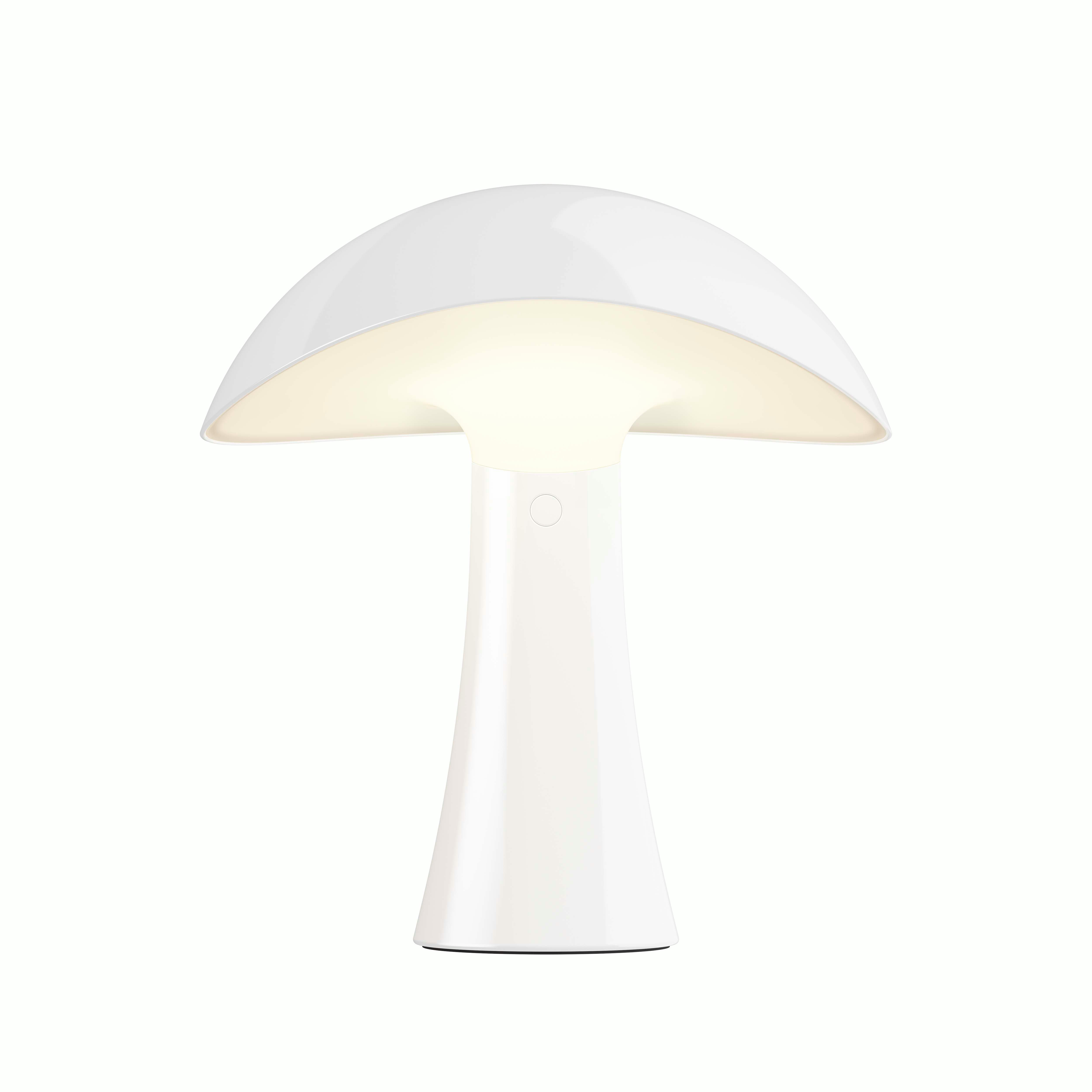 Rumee 220 Portable Lamp