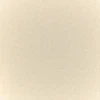 Raw Umber White