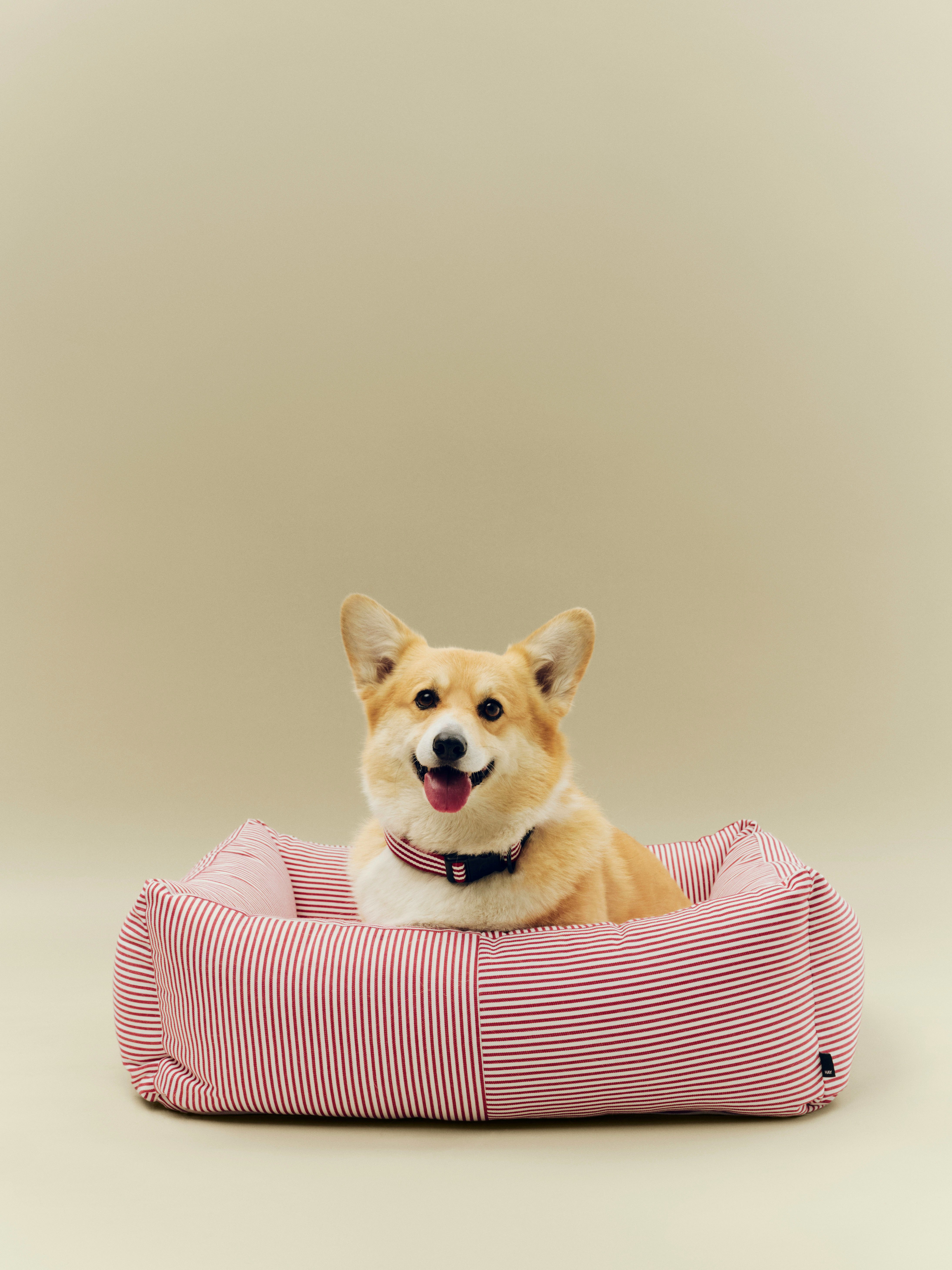 Dog Bed
